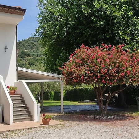 Krio Gelsomare Hotel Policastro Bussentino Buitenkant foto